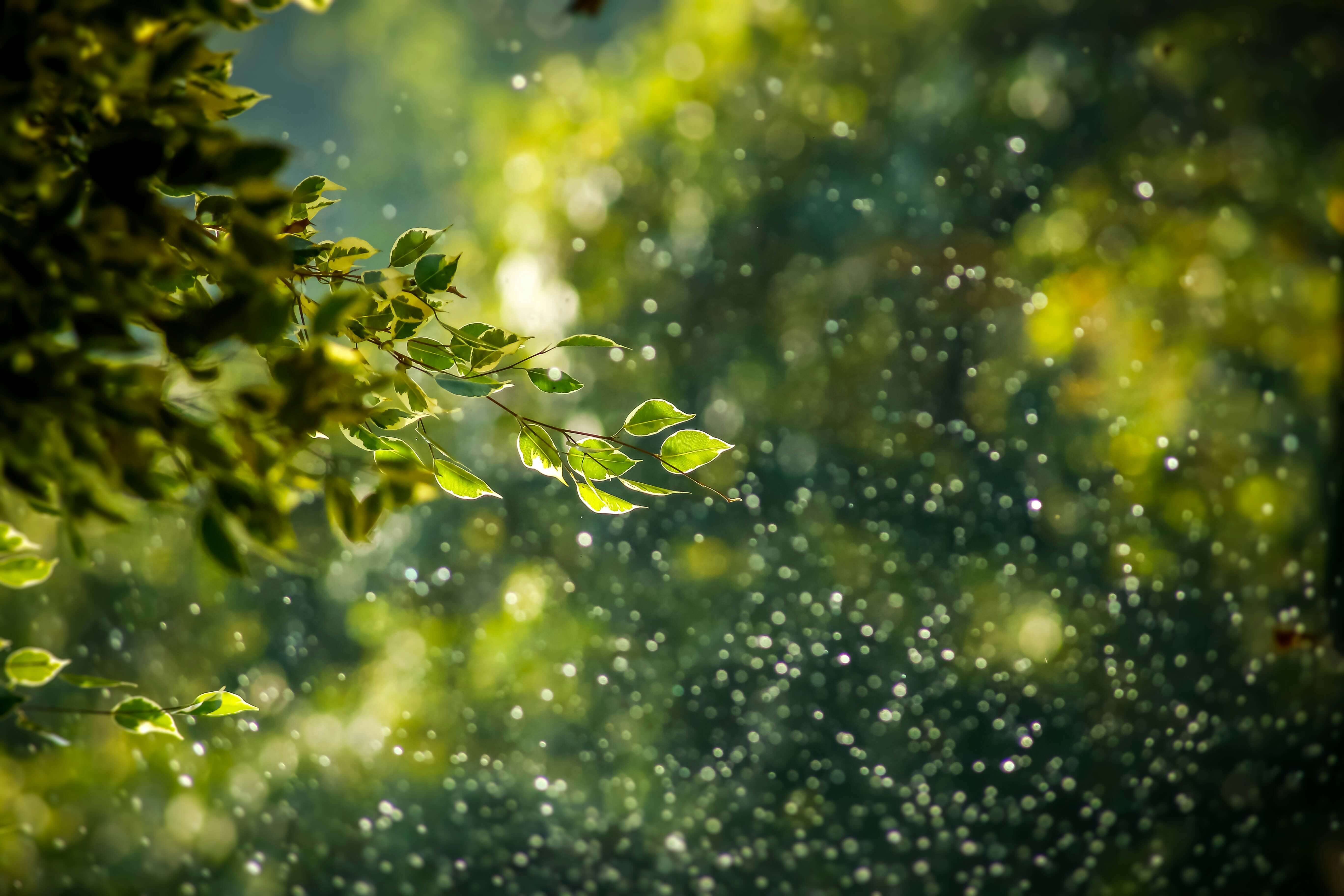 goutham-krishna-h5wvMCdOV3w-unsplash